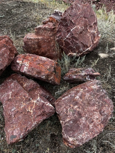 Камни для ландшафтного дизайна красно-фиолетовые 10-60 килограмм купить в Октябрьском